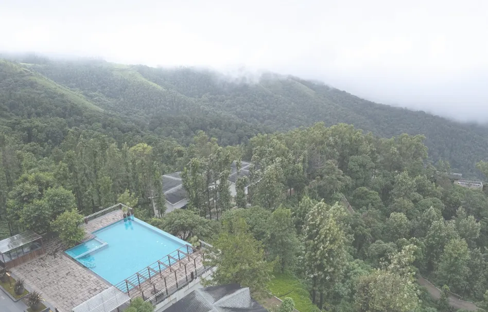 Chikkamagaluru resort with coffee plantation view